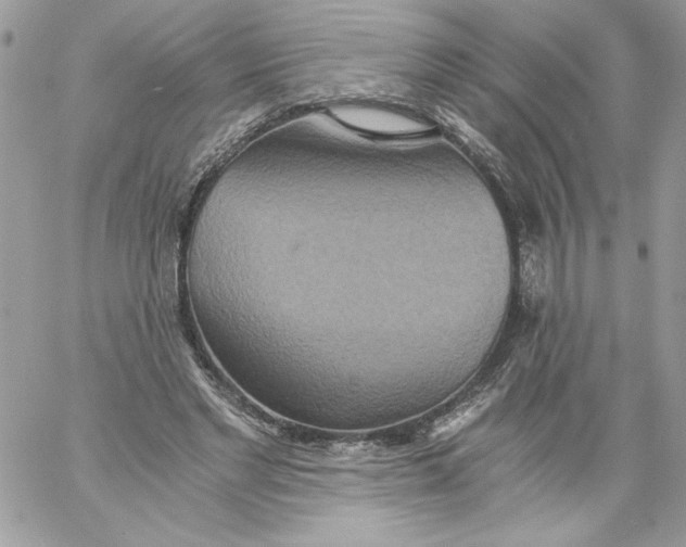 X0000058800493200510211843