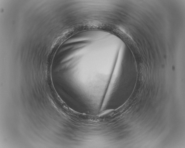X0000058800496200510211842