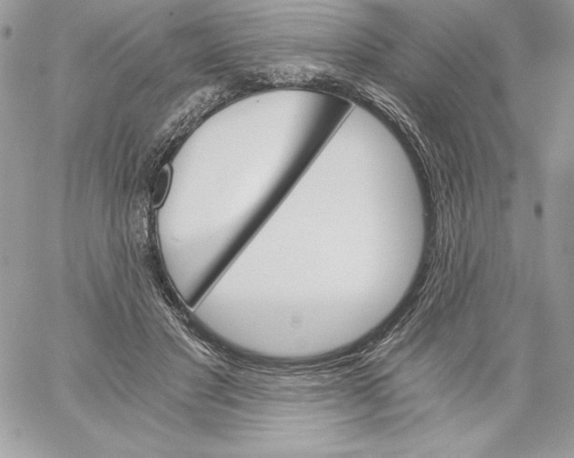 X0000058800501200510211842