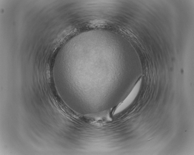 X0000058800508200510211842