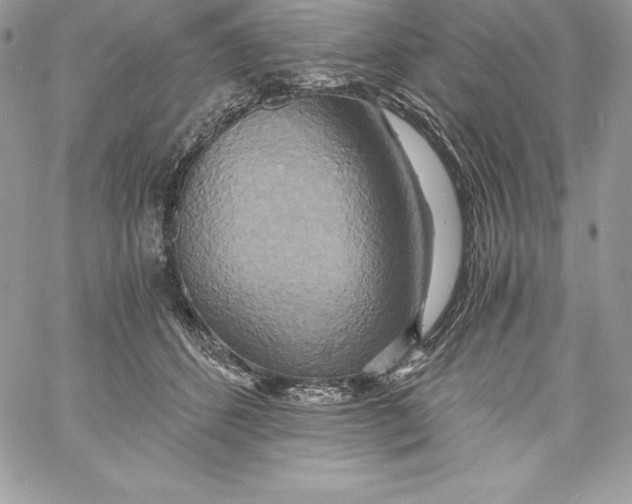 X0000058800512200510211842