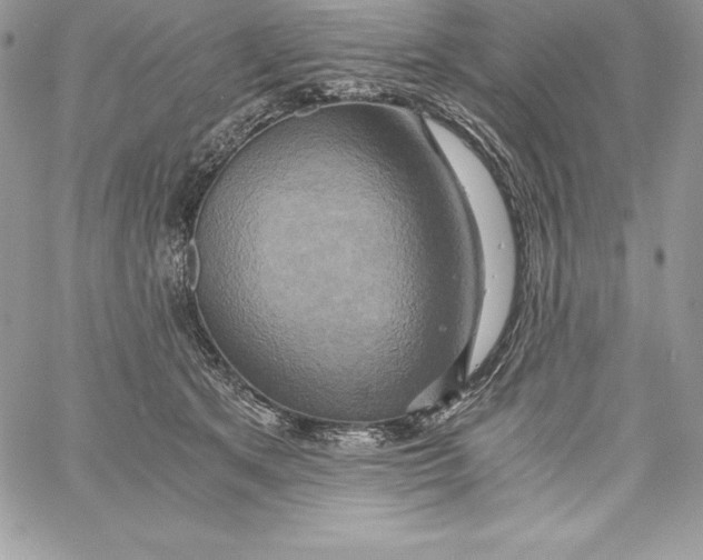 X0000058800513200510211842