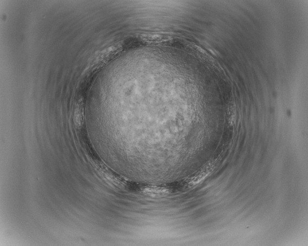 X0000058800515200510211842