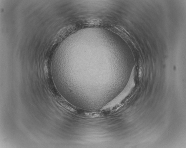 X0000058800516200510211842