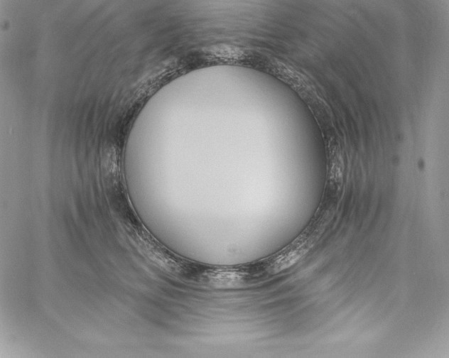 X0000058800518200510211842