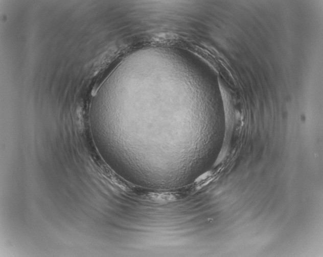 X0000058800520200510211842
