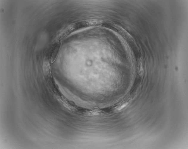 X0000058800523200510211842