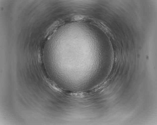 X0000058800524200510211842
