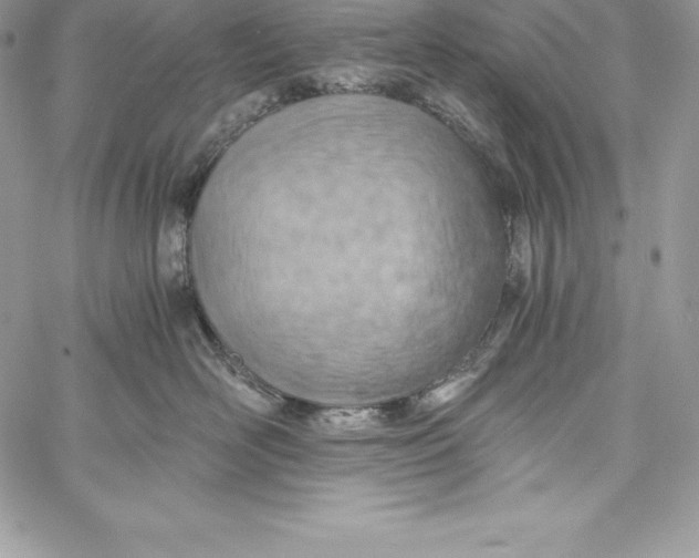 X0000058800526200510211842