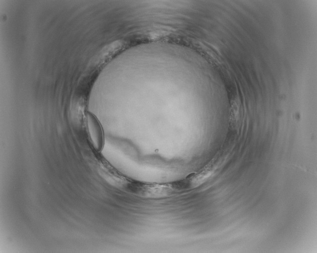 X0000058800527200510211842