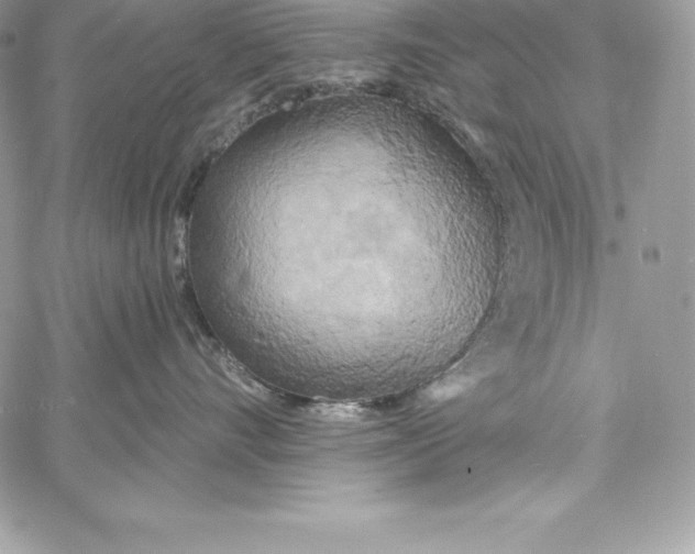X0000058800528200510211842