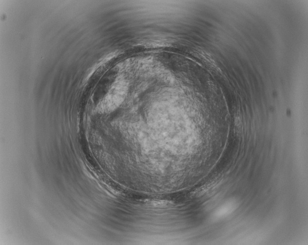 X0000058800539200510211841