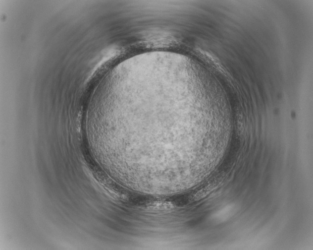 X0000058800543200510211841