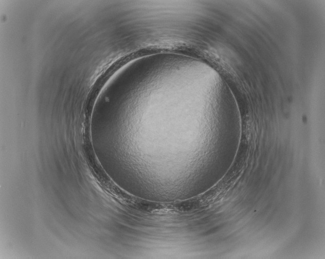X0000058800544200510211841
