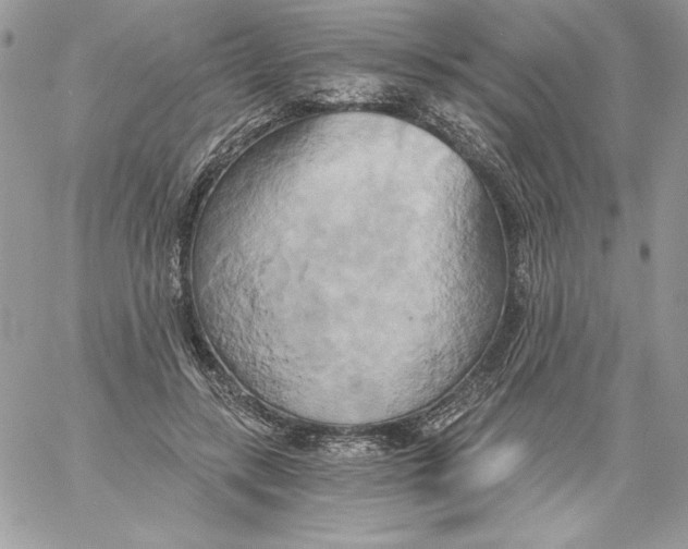 X0000058800547200510211841