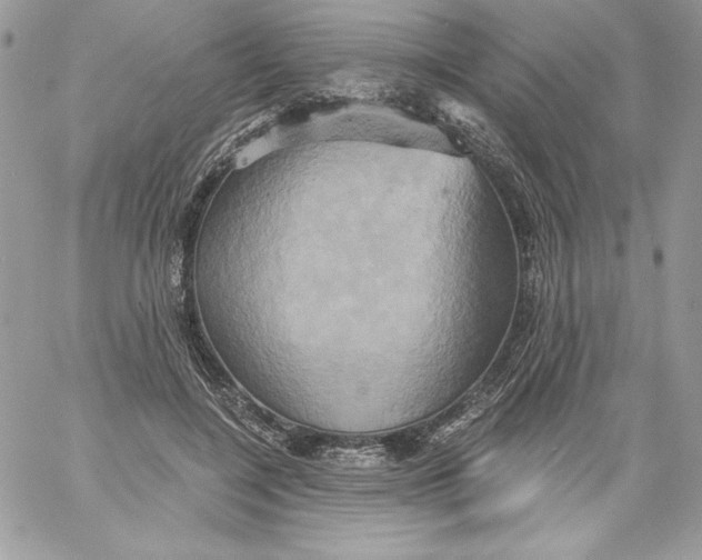 X0000058800548200510211841