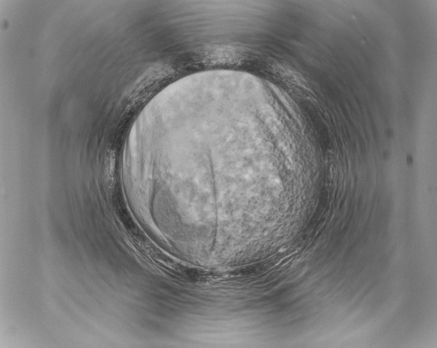 X0000058800550200510211842