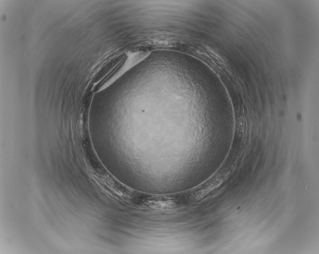X0000058800552200510211842
