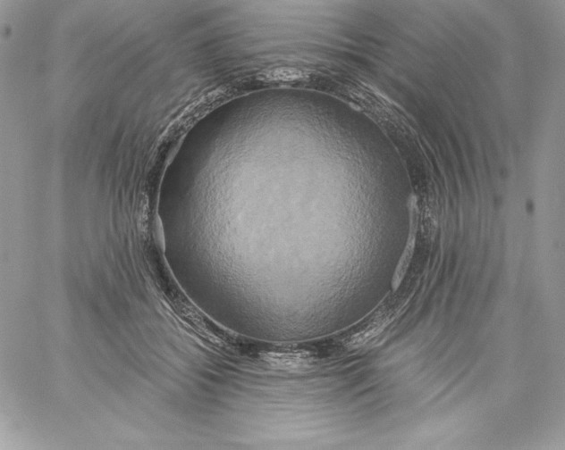 X0000058800556200510211842