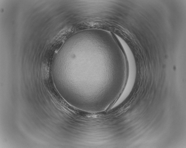 X0000058800558200510211842
