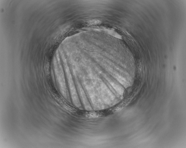 X0000058800565200510211842