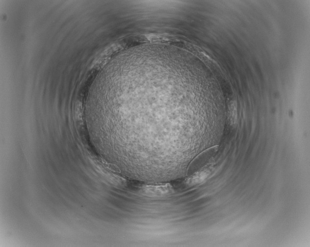 X0000058800571200510211842