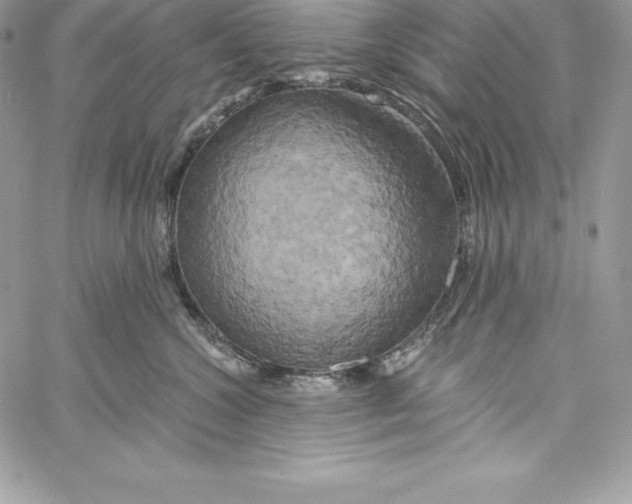 X0000058800572200510211842