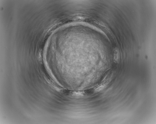 X0000058800573200510211842