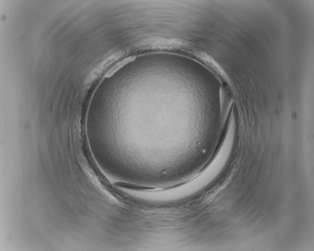 X0000058800581200510211841