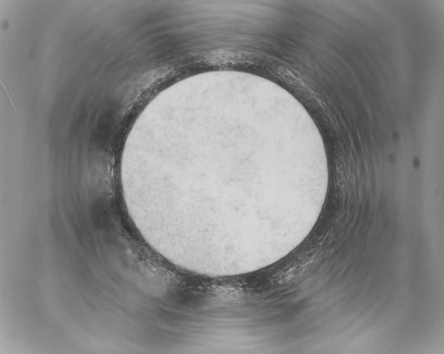 X0000058800592200510211841