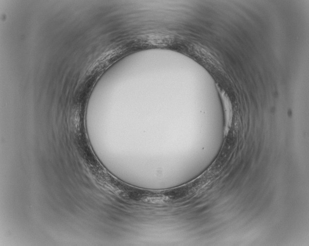 X0000058800595200510211841