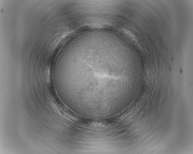 X0000058800596200510211841