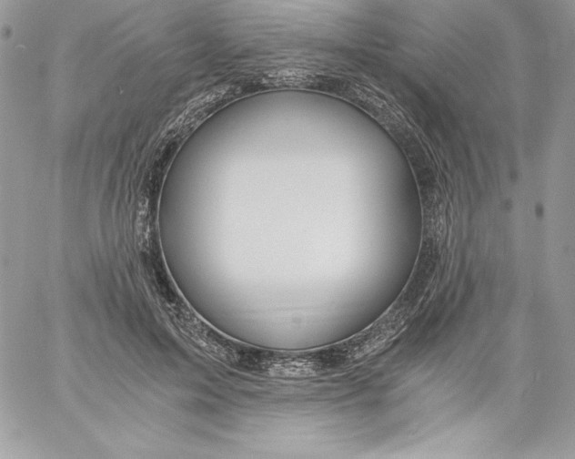 X0000058800599200510211841