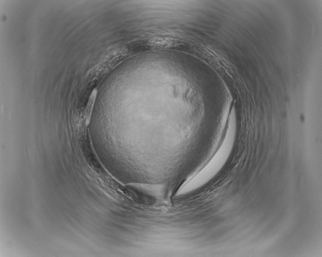 X0000058800601200510211841