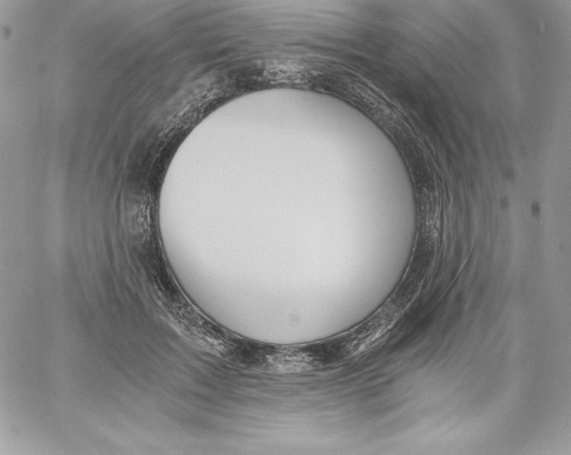 X0000058800603200510211841