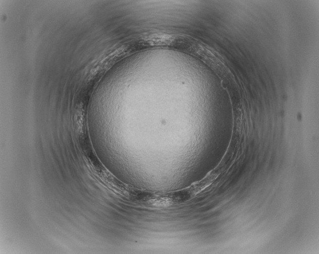 X0000058800604200510211841