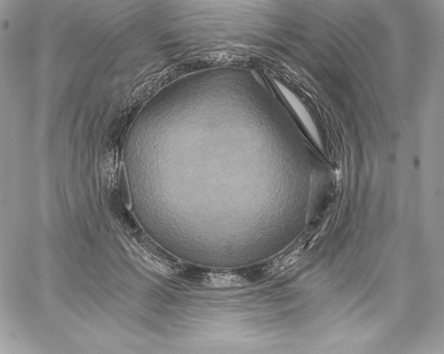 X0000058800605200510211841