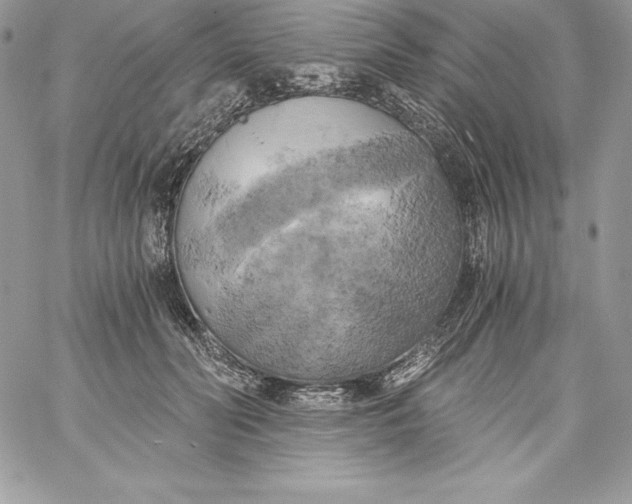X0000058800606200510211841
