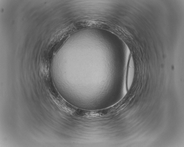 X0000058800607200510211841