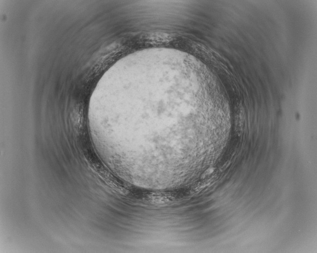 X0000058800608200510211841