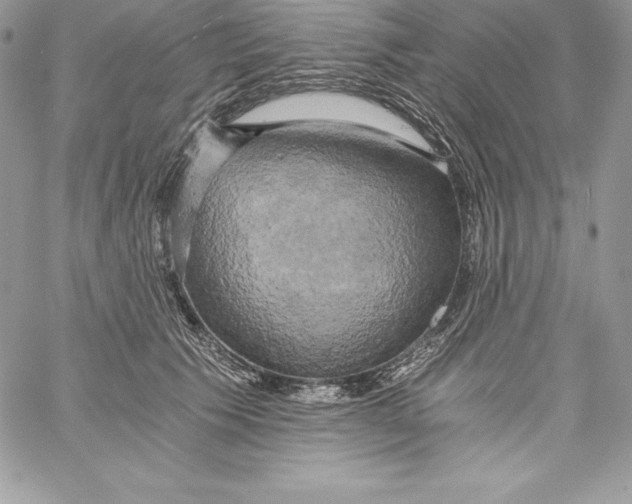 X0000058800609200510211841