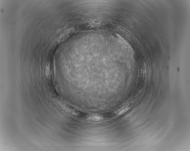 X0000058800610200510211841