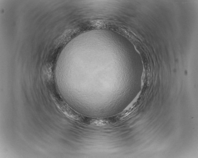 X0000058800611200510211841