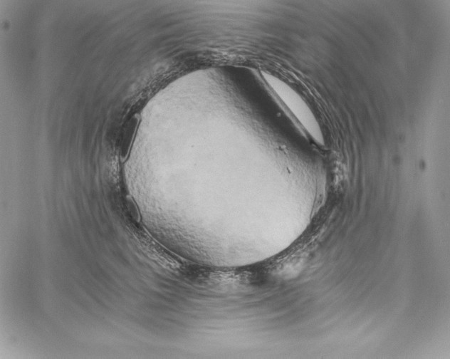 X0000058800613200510211841