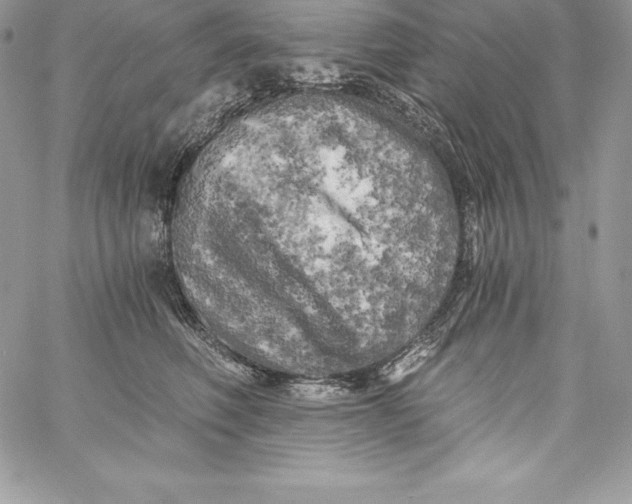 X0000058800614200510211841