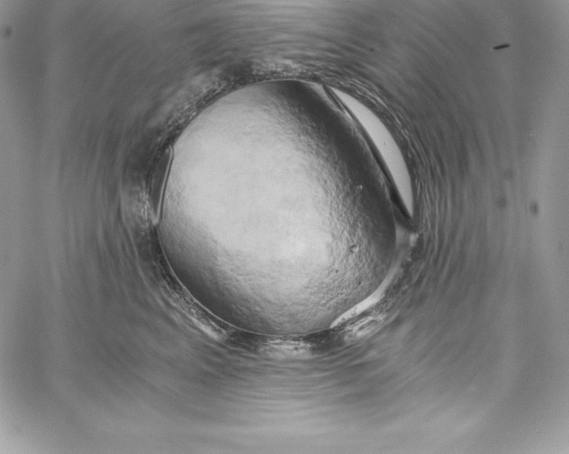 X0000058800617200510211840