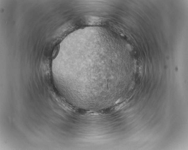 X0000058800620200510211840