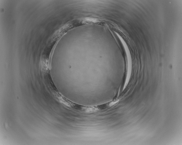 X0000058800621200510211840
