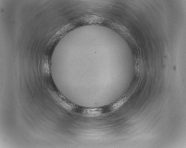 X0000058800622200510211840
