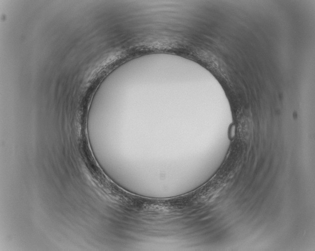 X0000058800635200510211840
